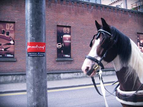 Guinness brewery, Dublin